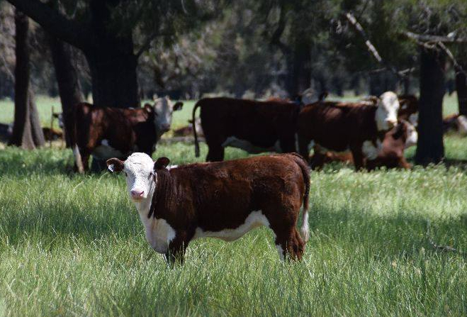 14705881_707611626056646_9159456532773440754_n