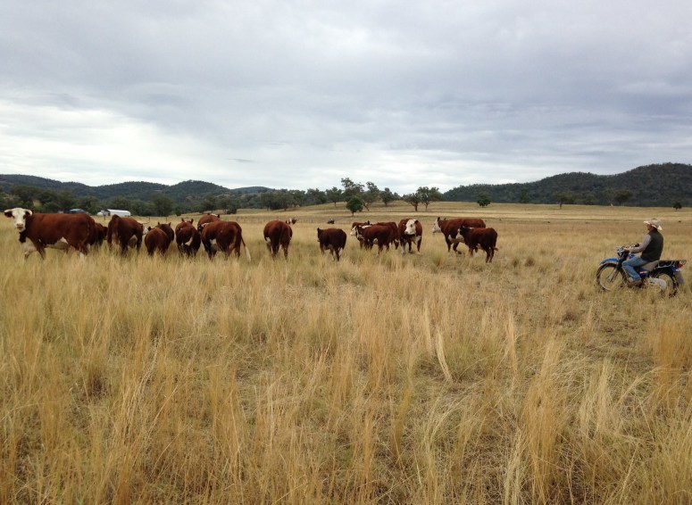 17389216_789981894486285_4034228885207759896_o