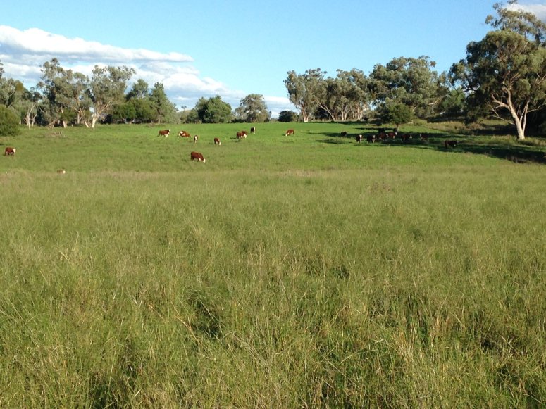 39583885_1108875239263614_2818510715348844544_o