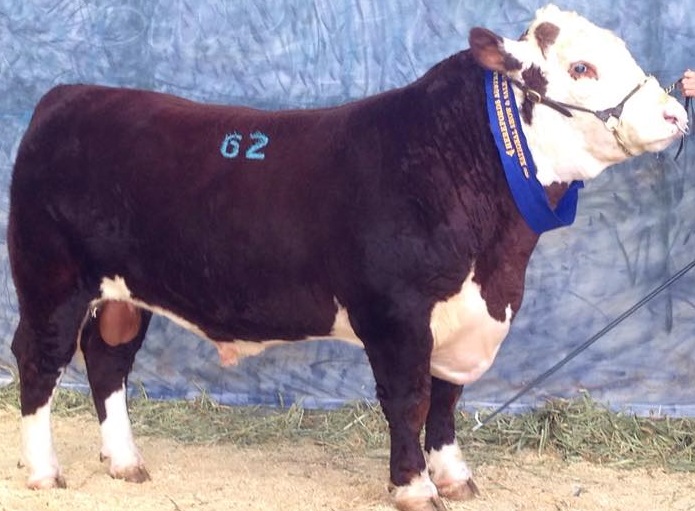 13393012_933521953440757_1577539742_n