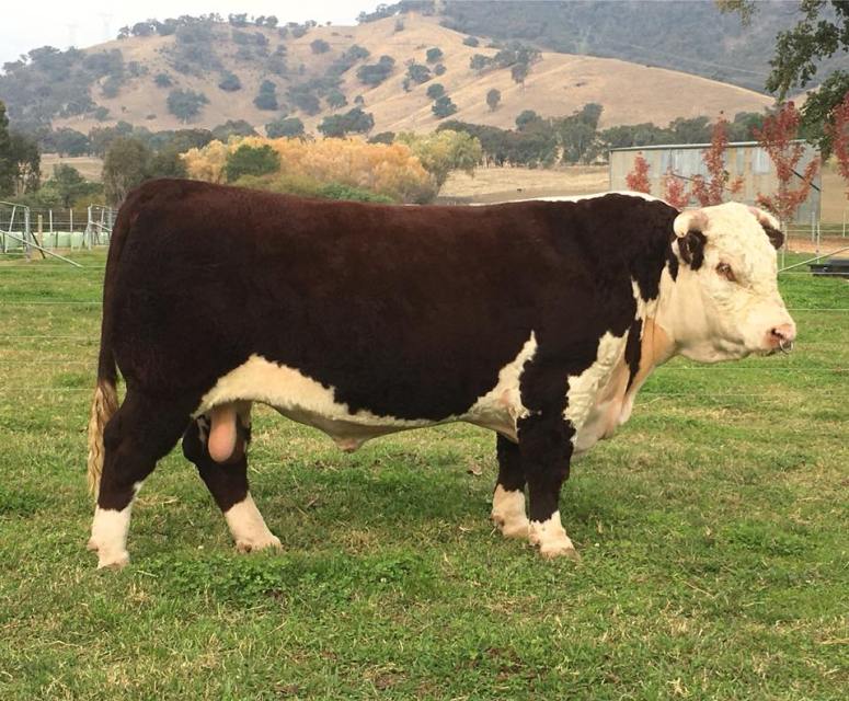 34458519_1451014401711992_6569866075163328512_n