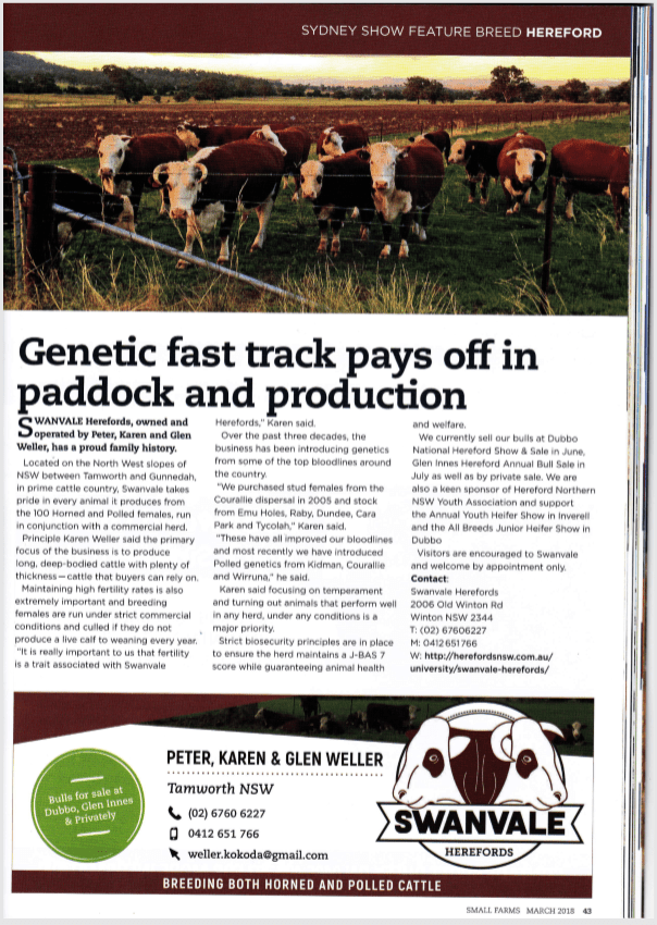 29386808_987886118029194_3559944198033506304_n