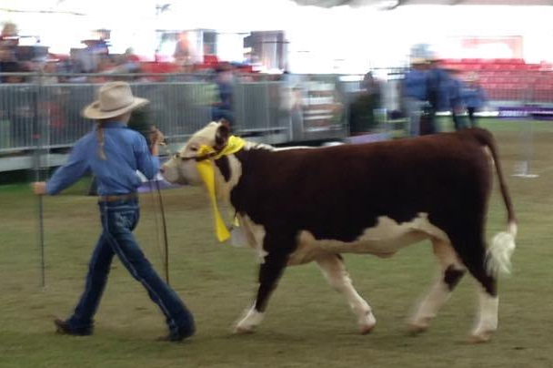 29570888_990578281093311_2200257823058806392_n