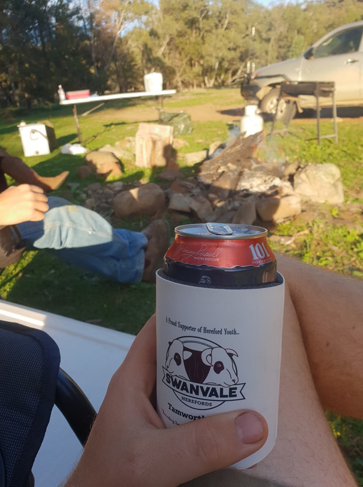 60994524_1182336781937479_5299353515657789440_n