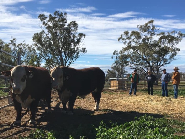 65054152_1322046031279866_6471121414068895744_n